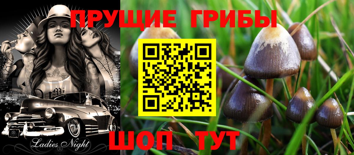 Галлюциногенные грибы GOLDEN TEACHER Алексеевка