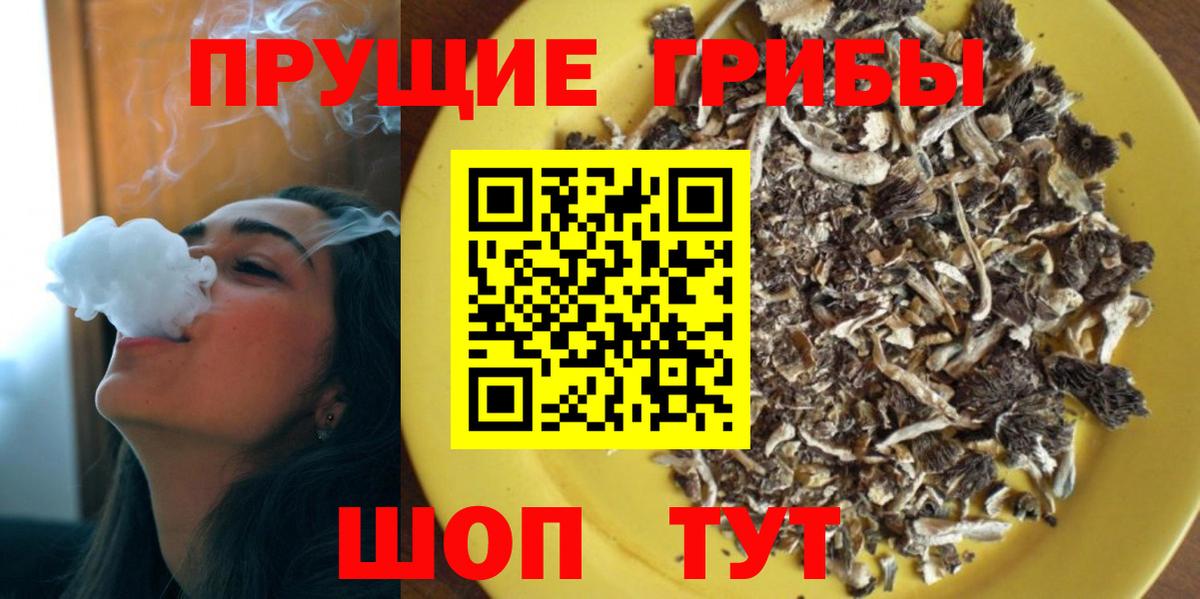 Алексеевка  Галлюциногенные грибы прущие грибы  Вход с VPN  Галлюциногенные грибы Psilocybine cubensis 