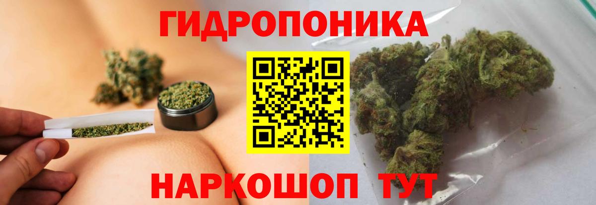Бошки Шишки марихуана  Марихуана конопля  Алексеевка  МАРИХУАНА AK-47  Вход с VPN 